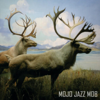 Mojo Jazz Mob - ...Still Hunting