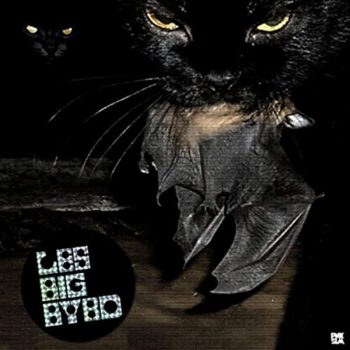 Les Big Byrd - Roofied Angels (EP)