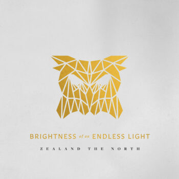 Brightness Of An Endless Light