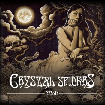 Crystal Spiders - Molt