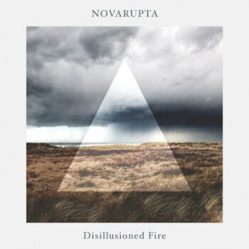 Disillusioned Fire