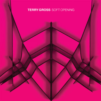 Terry Gross - Soft Opening