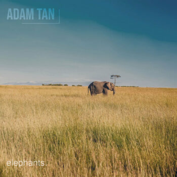 Adam Tan - Elephants