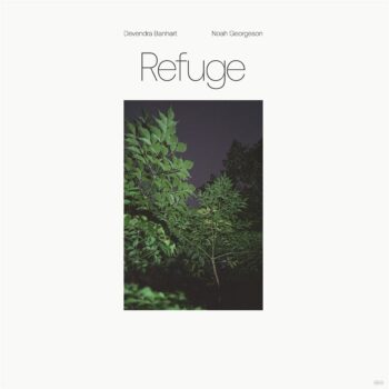 Devendra Banhart - Refuge (mit Noah Georgeson)