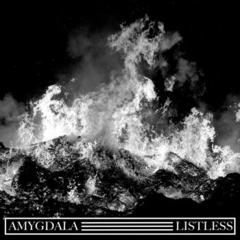 Amygdala - Split-LP mit Listless