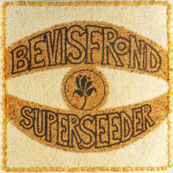 The Bevis Frond - Superseeder