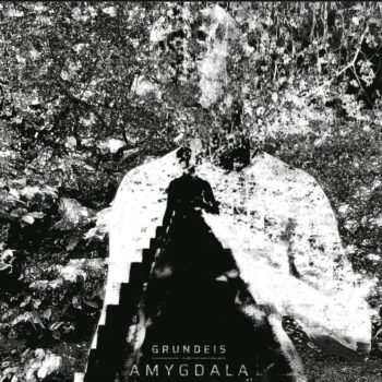 Grundeis - Amygdala