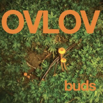 Ovlov - Buds