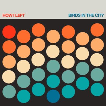 How I Left - Birds In The City