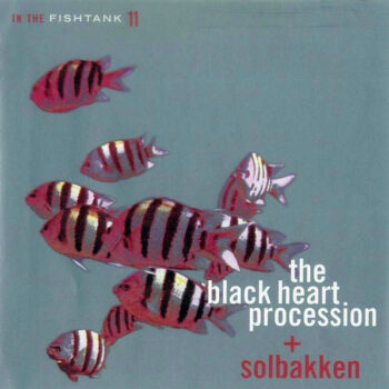 The Black Heart Procession - In The Fishtank 11 (mit Solbakken)