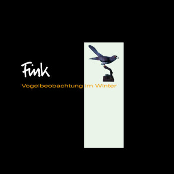 Fink - Vogelbeobachtung im Winter