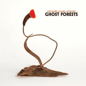 Meg Baird - Ghost Forests (mit Mary Lattimore)