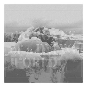 Newsflash (James Iha, Band Of Horses, Gojira u.a.)