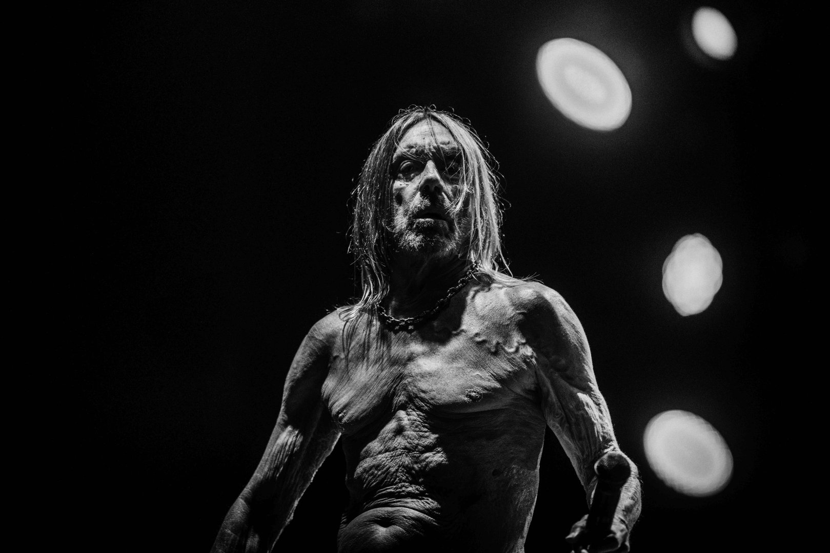 iggypop