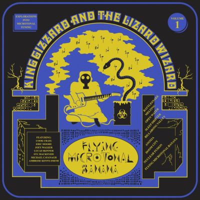 flying microtonal banana king gizzard