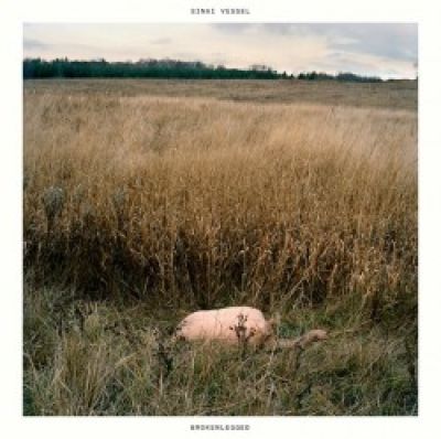 Sinai Vessel