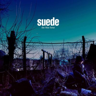 suede