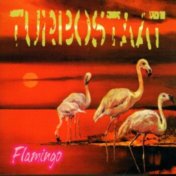 Turbostaat - Flamingo