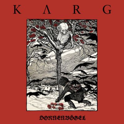 Karg Dornenvoegel