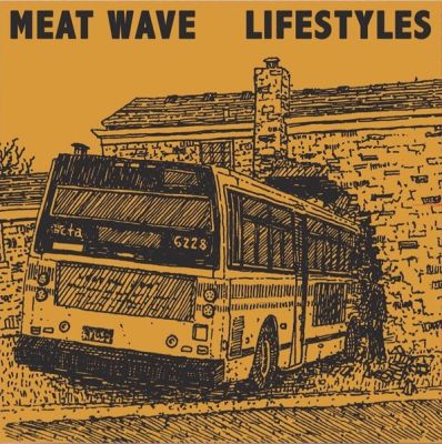 Meat Wave & Lifestyles Split Album