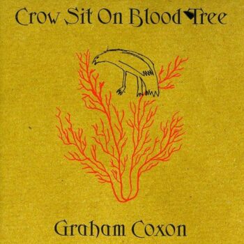 Crow Sit On Blood Tree