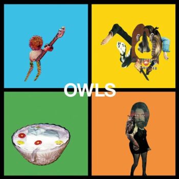 Owls - Owls