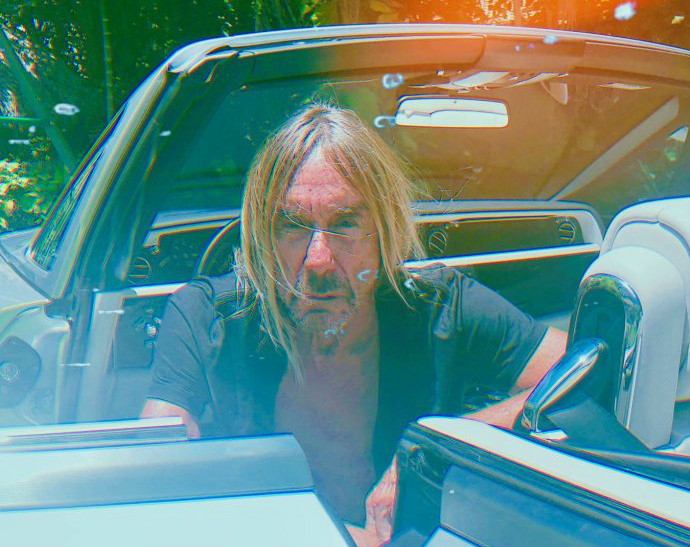 Iggy Pop 2019