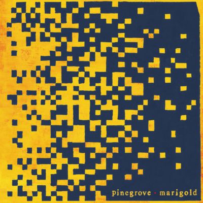 Pinegrove Marigold