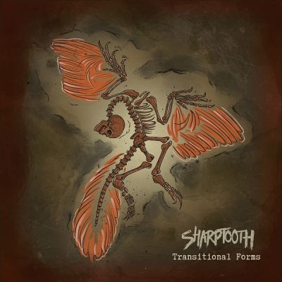sharptooth transitional forms