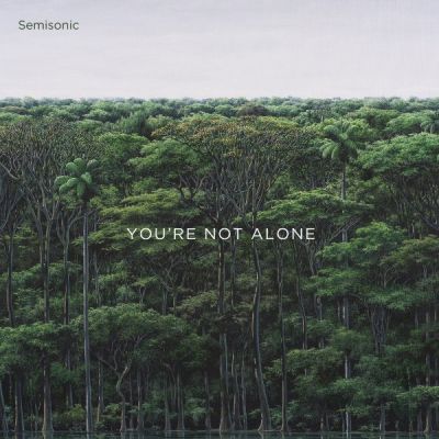 semisonic youre not alone