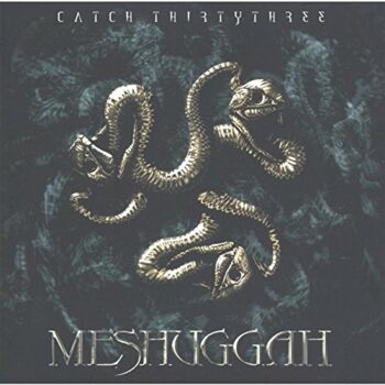 Meshuggah - Catch Thirtythree