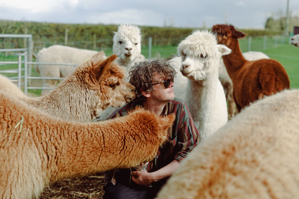 Bill Ryder-Jones by Marieke Macklon Milk & Honey: Bill Ryder-Jones (Foto: Marieke Macklon)