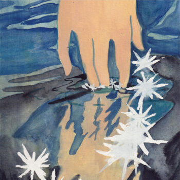 Reveries