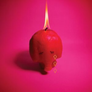 Cover: Pink Elephant - Arcade Fire 