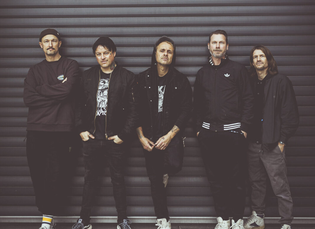 Donots (Foto: Marcel Weste)