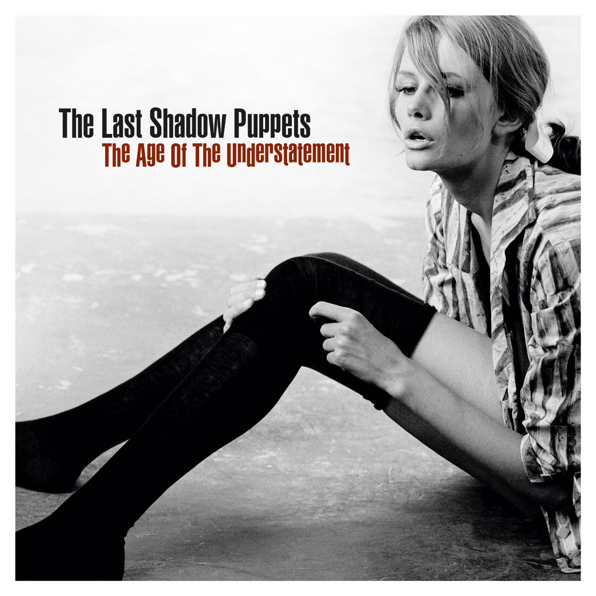 The Last Shadow Puppets - The Age Of The Understatement
