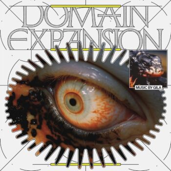 Gila - Domain Expansion