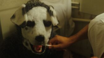 Review zum Thriller "Good Boy" –  It’s a dog-eat-dog world