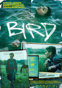 "Bird", Poster (Foto: MFA+)