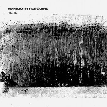 Mammoth Penguins - Here