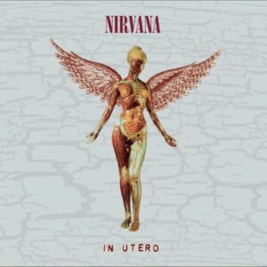 Nirvana In Utero 30th Anniversary Edition Cover