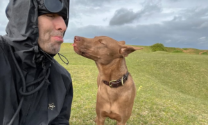 Liam Gallagher – &#8220;Ich will nicht mehr auf Tour gehen&#8221;