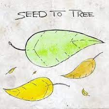 Seed to Tree - The Early Years EP