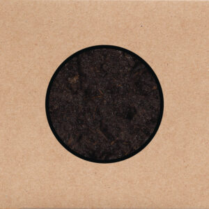 Swans_Birthing_artwork
