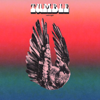 Tumble - Lost In Light