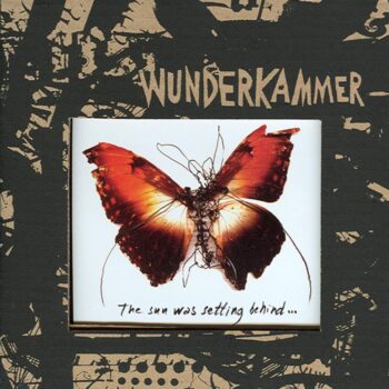 Wunderkammer - Today I Cannot Hear Music