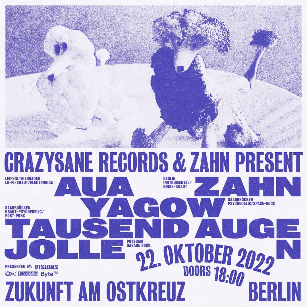 Crazysane Records & Zahn present