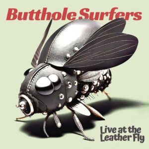 Butthole Surfers Live At The Leather Fly Cover