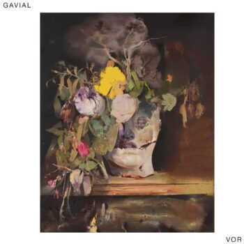 Gavial - Vor