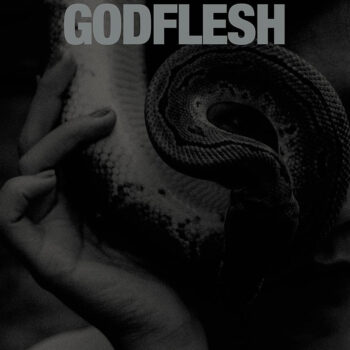 Godflesh - Purge